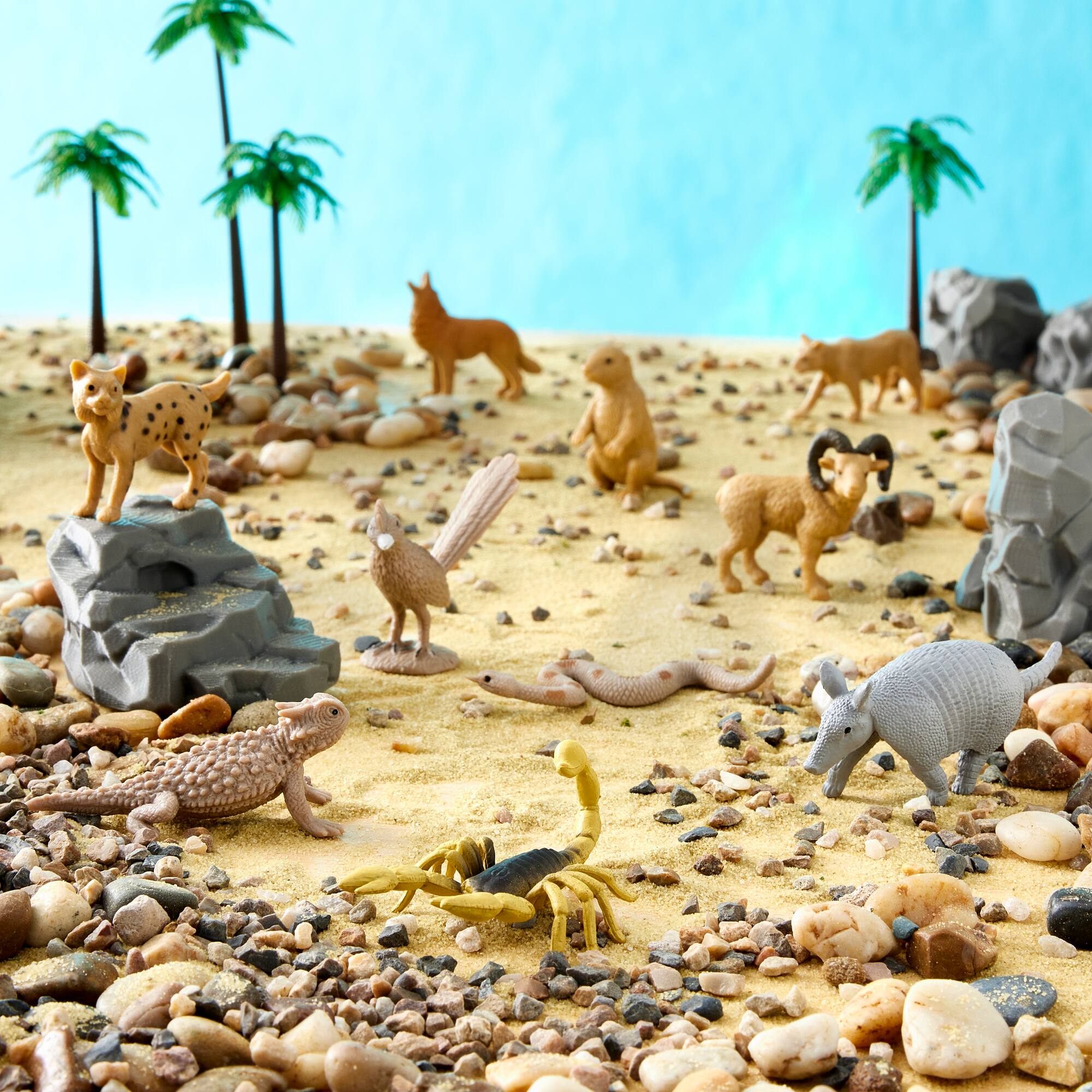 Safari Ltd® TOOBS® Desert